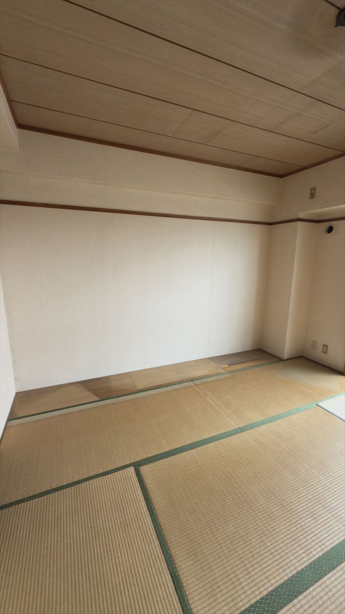 Before画像