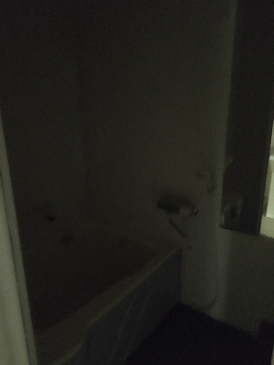 Before画像